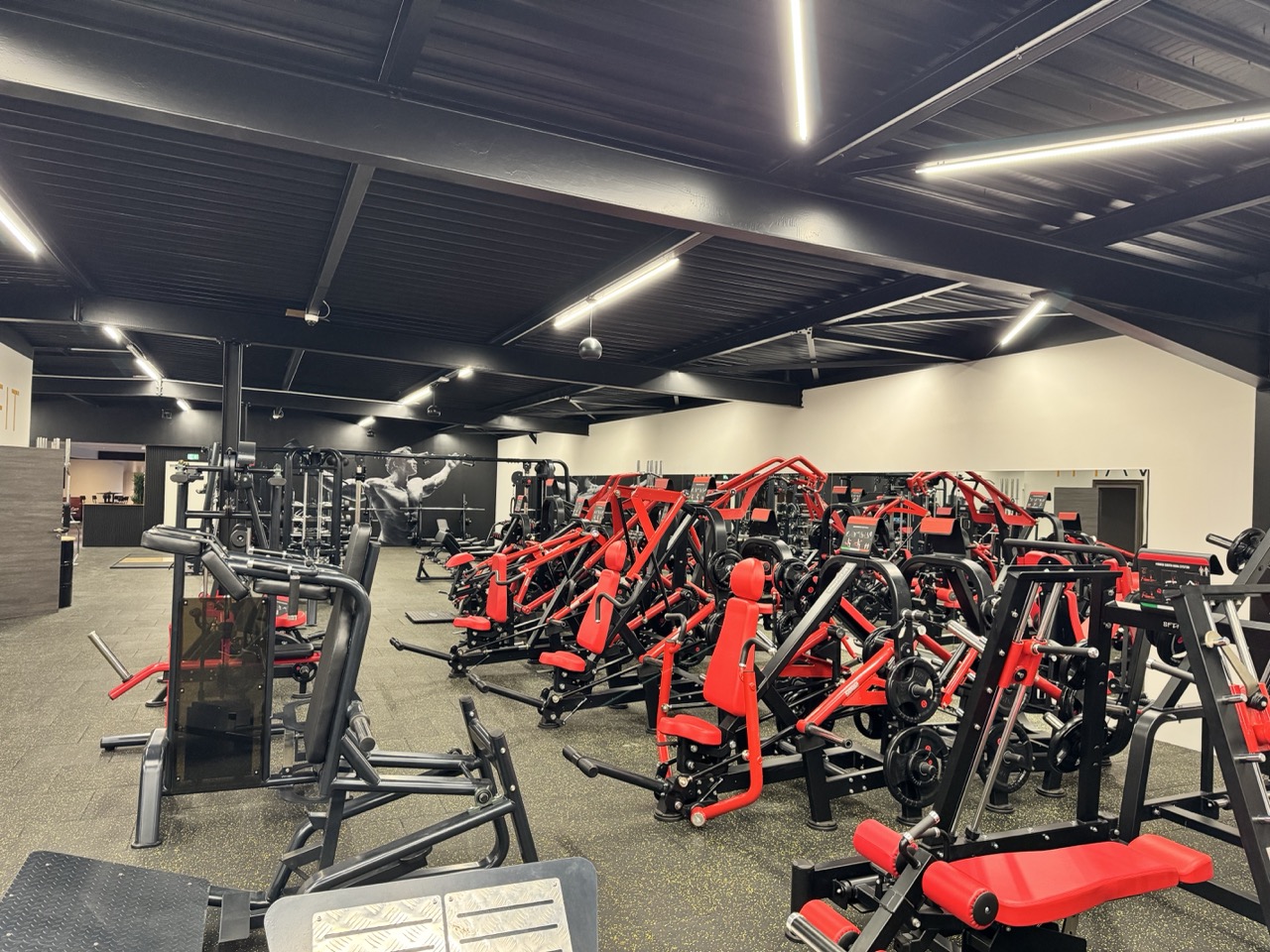 Machines musculation